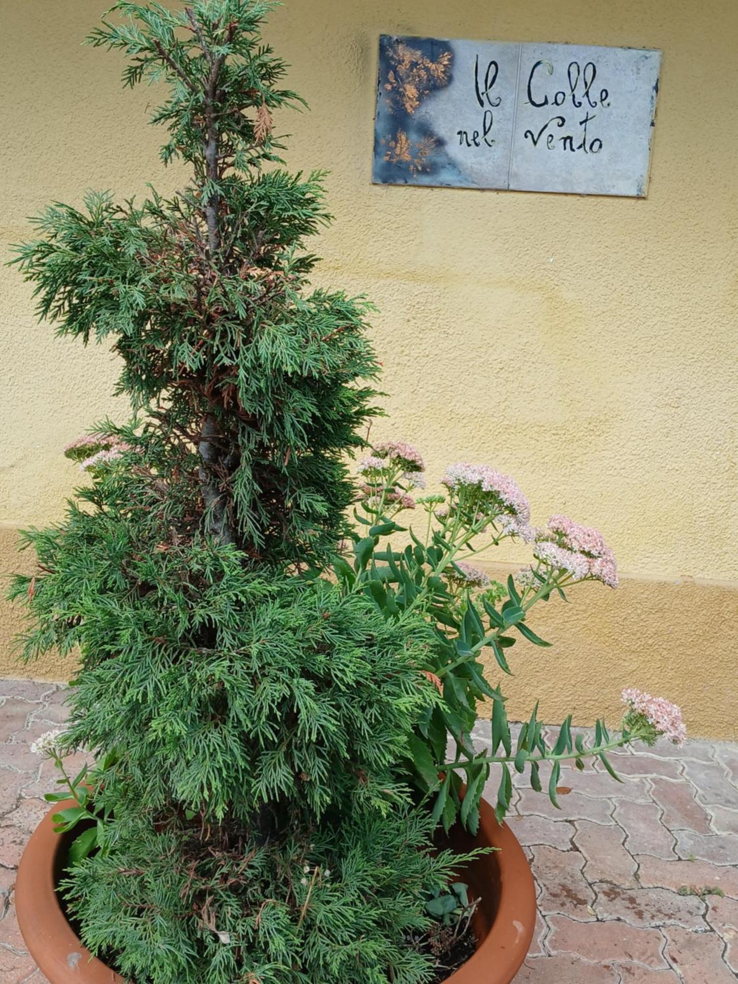 Casa Vacanza Il Colle Del Vento Calosso Εξωτερικό φωτογραφία