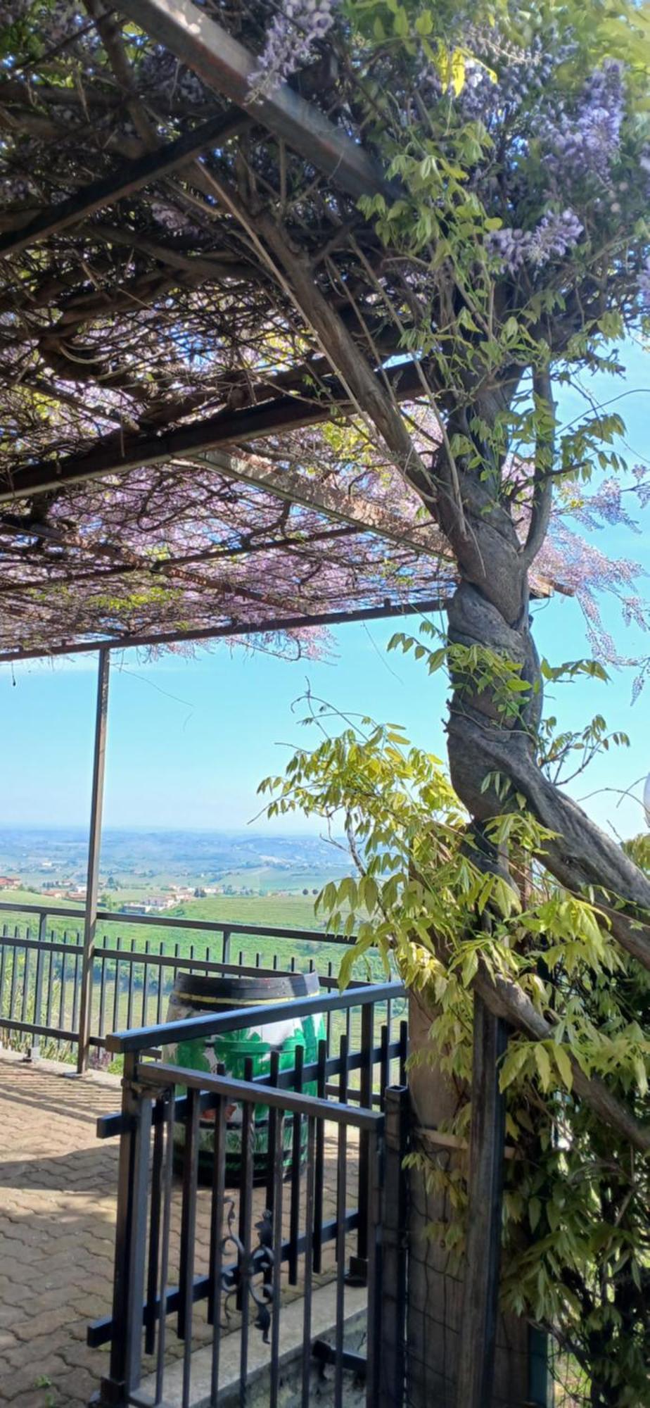 Casa Vacanza Il Colle Del Vento Calosso Εξωτερικό φωτογραφία